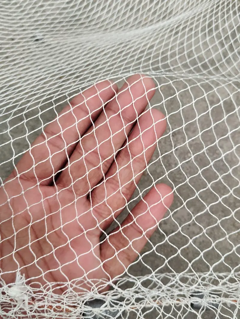 Fishing Net (cast net) — photo 2