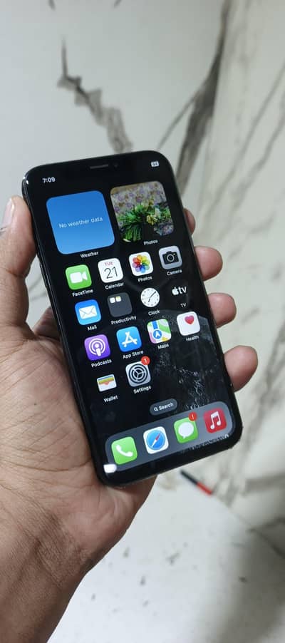 Apple iPhone X