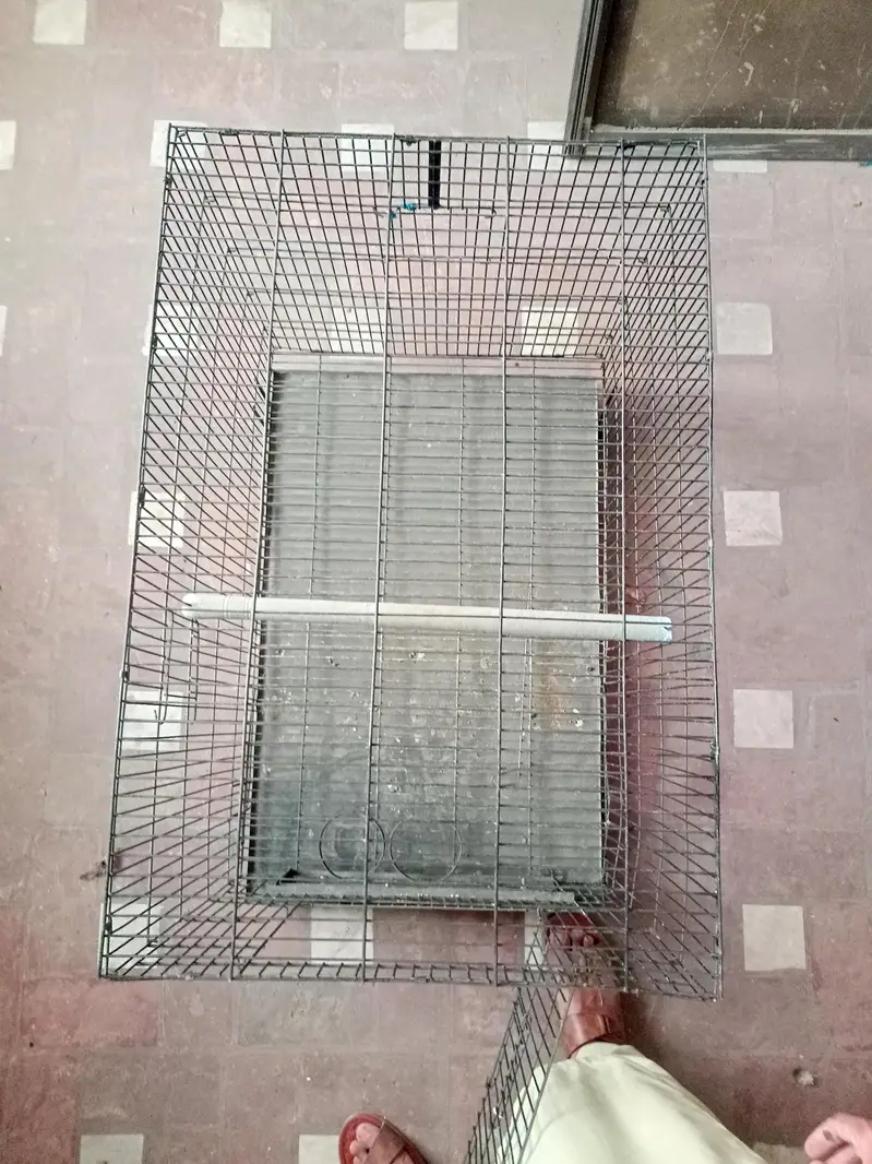 cage for parrots — photo 2