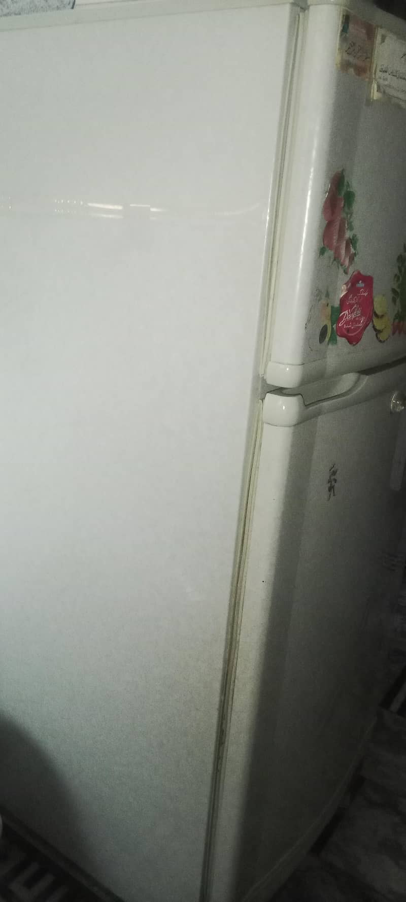 PEL fridge 2