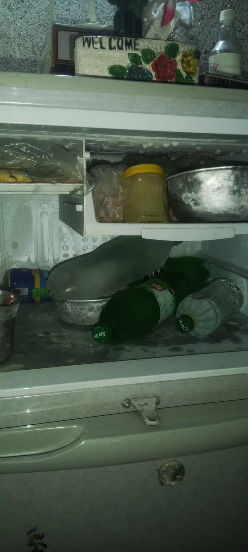 PEL fridge 3
