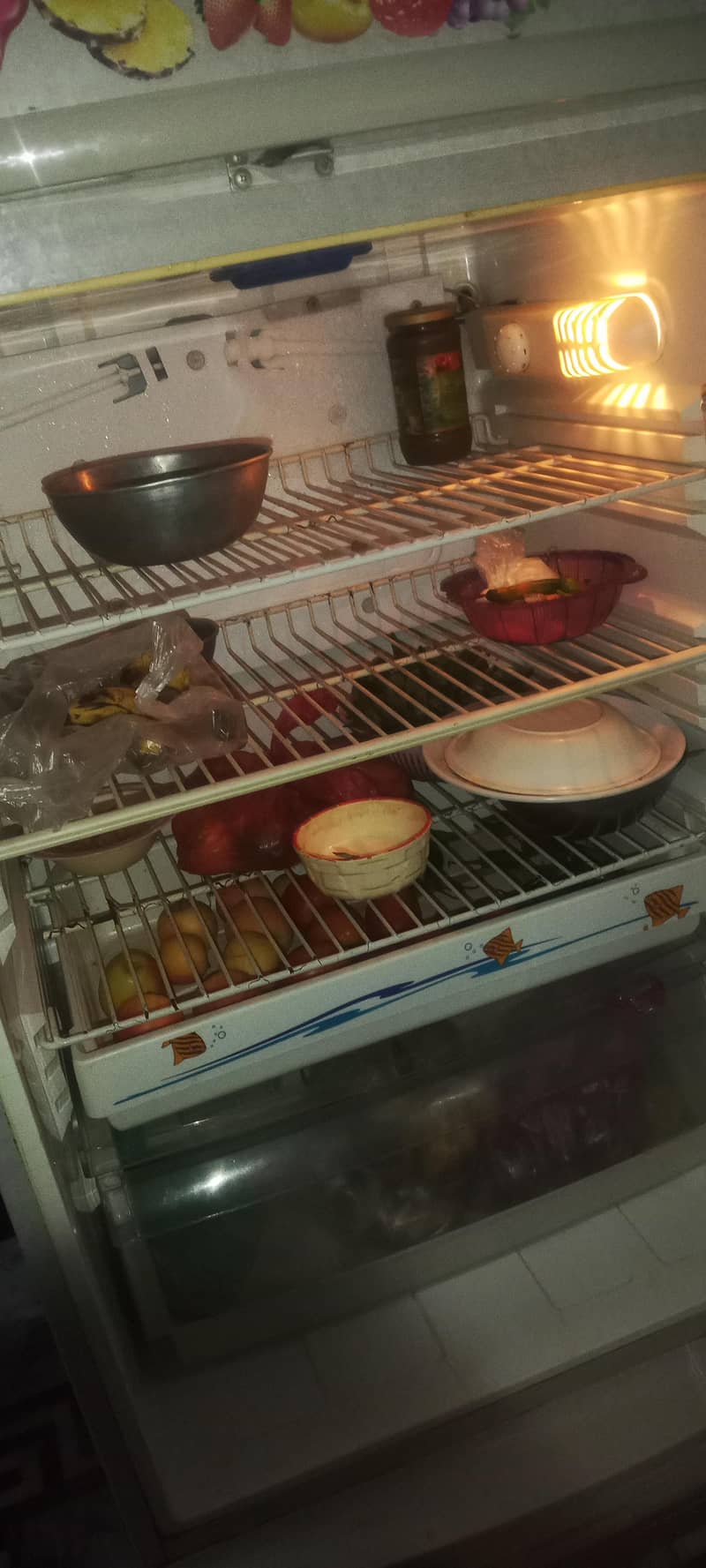 PEL fridge 4