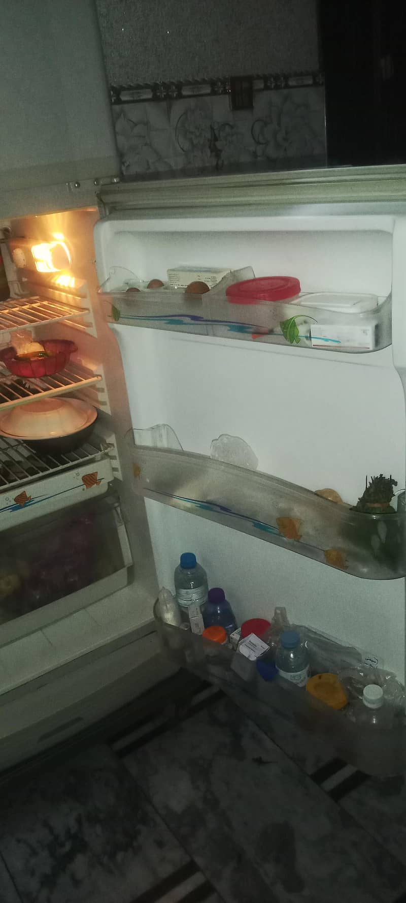 PEL fridge 5