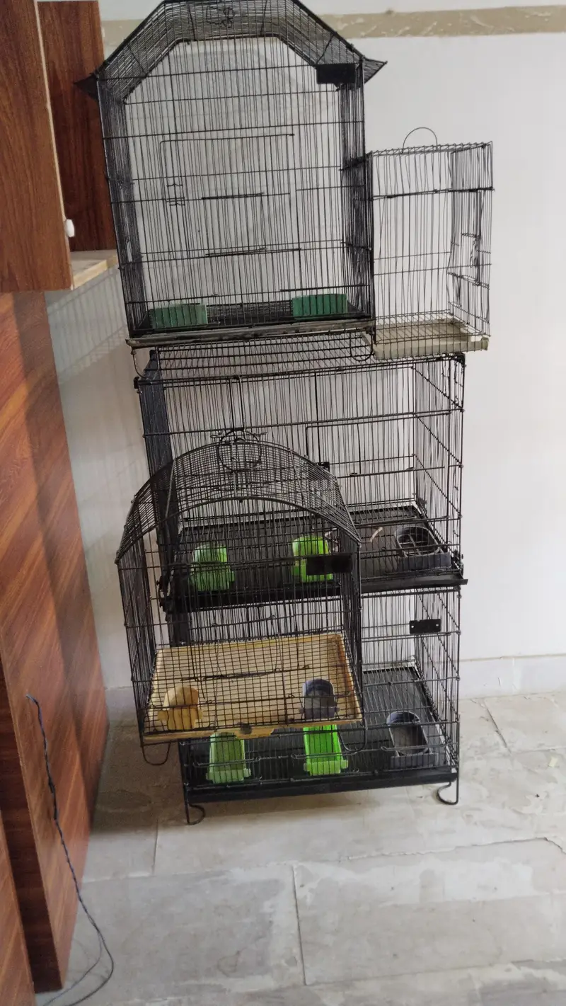 cages — photo 2
