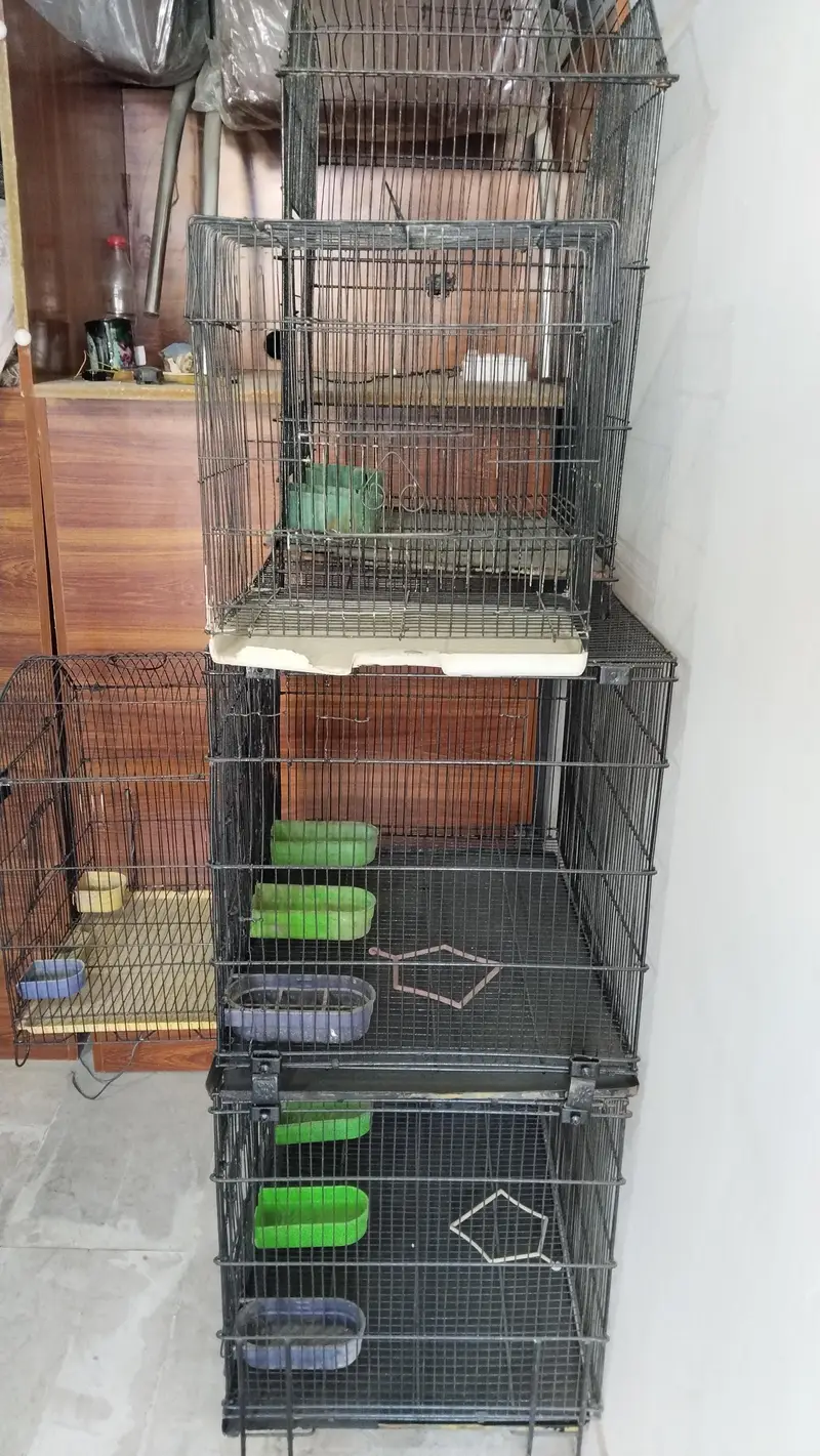 cages — photo 3