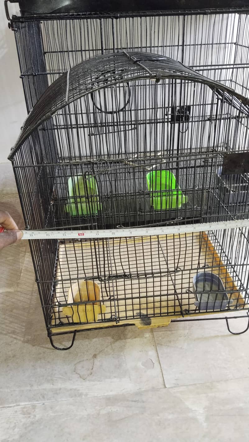 cages 3