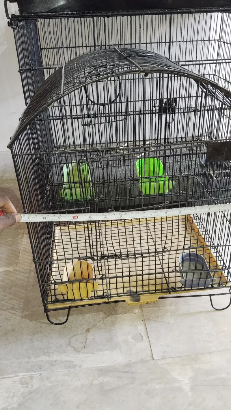 cages — photo 4
