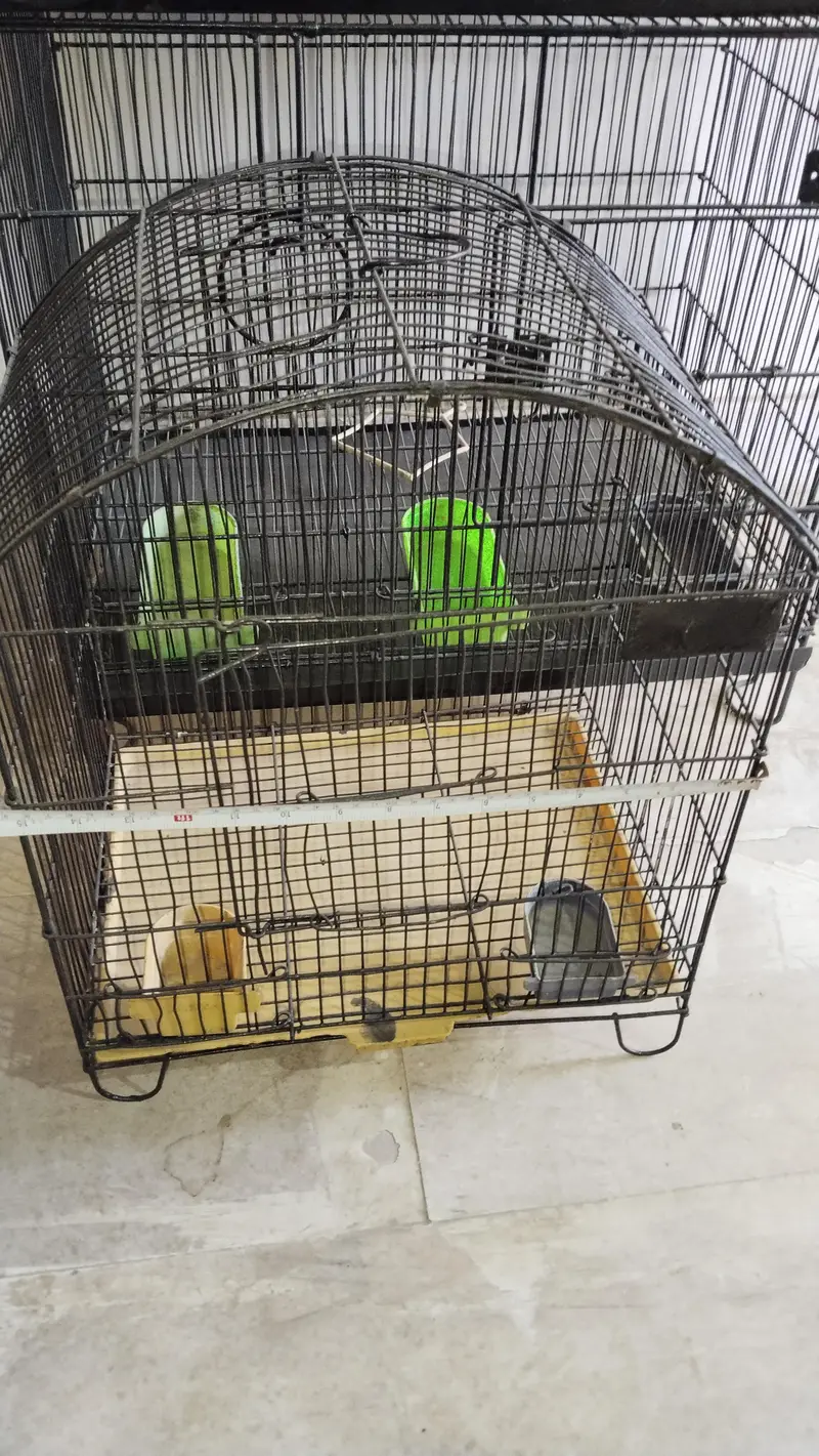 cages — photo 5