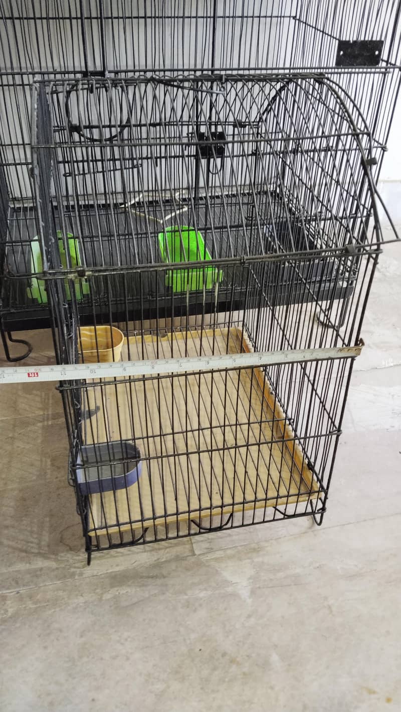 cages 5