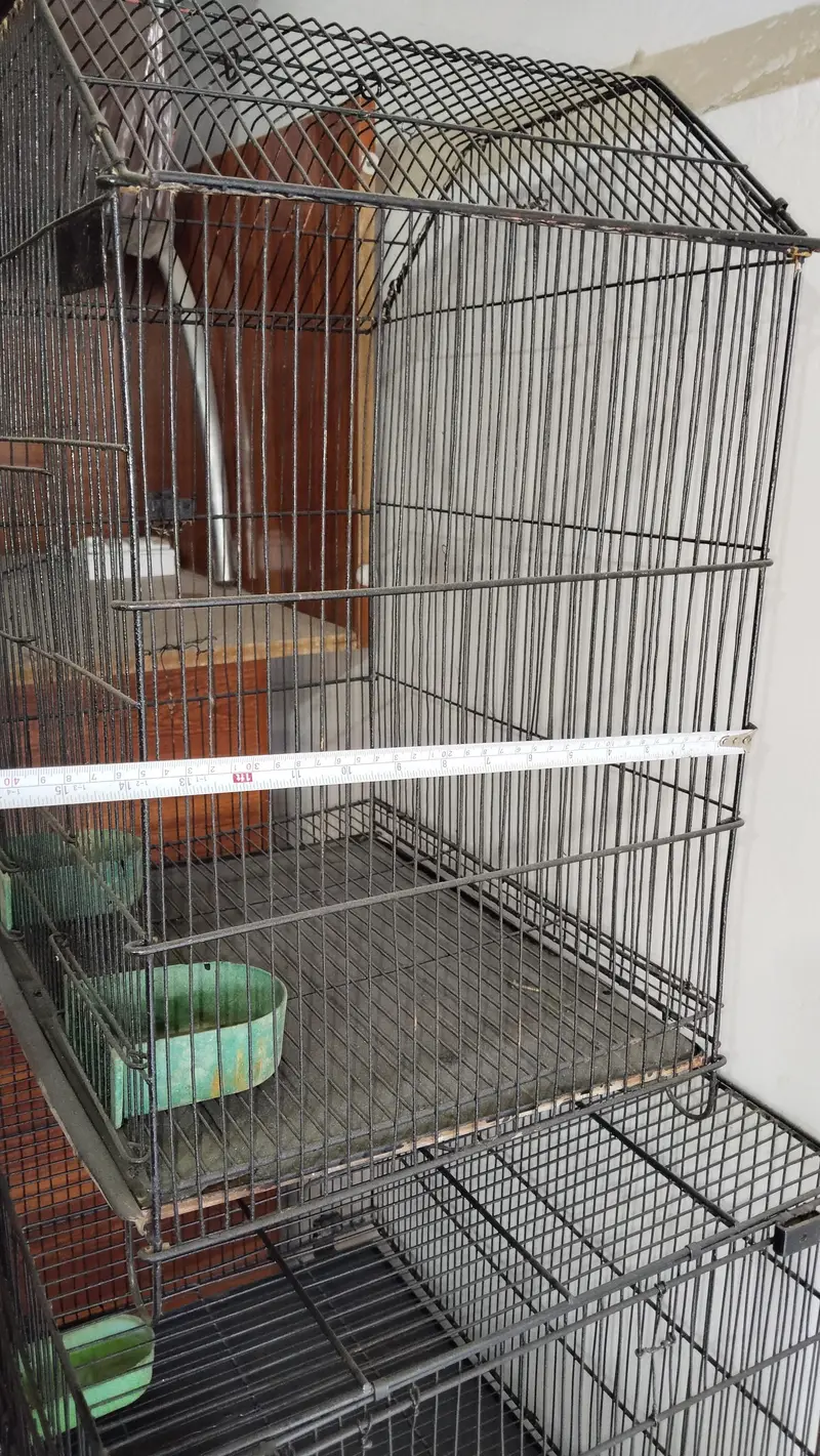 cages — photo 7