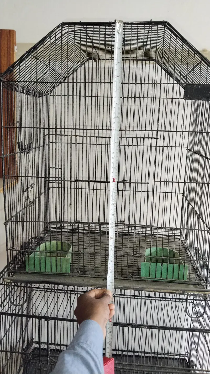 cages — photo 8