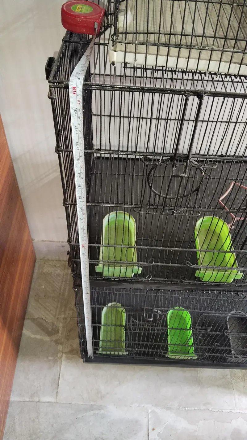 cages — photo 9