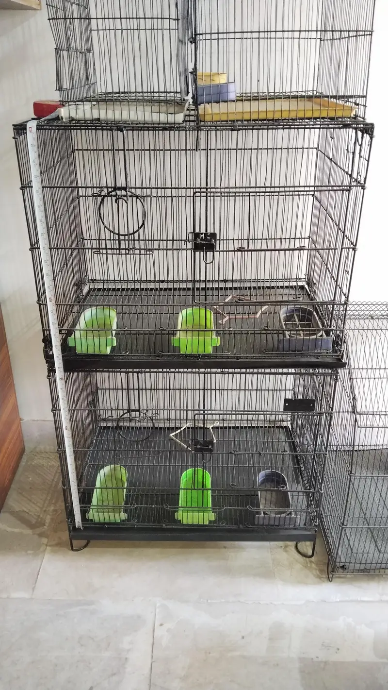cages — photo 10