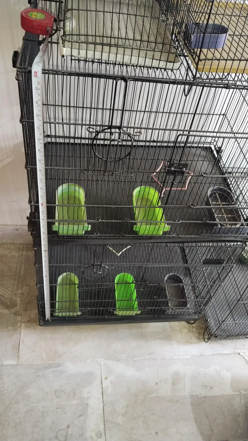 cages — photo 11