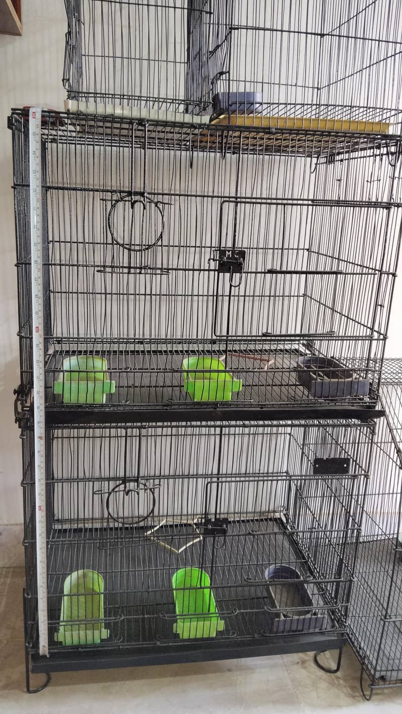 cages 11