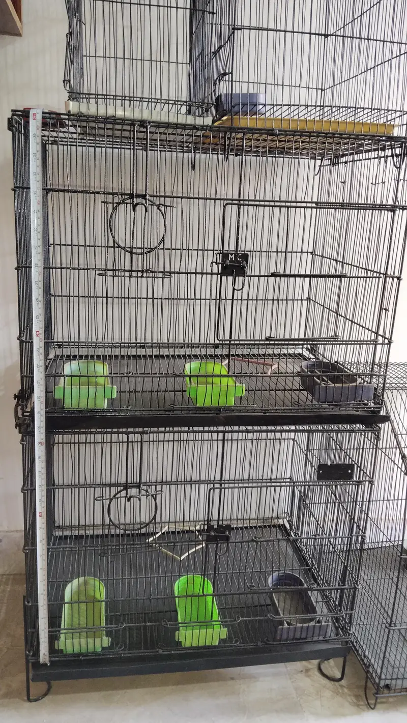 cages — photo 12