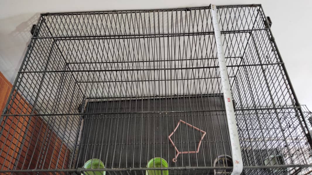 cages 12