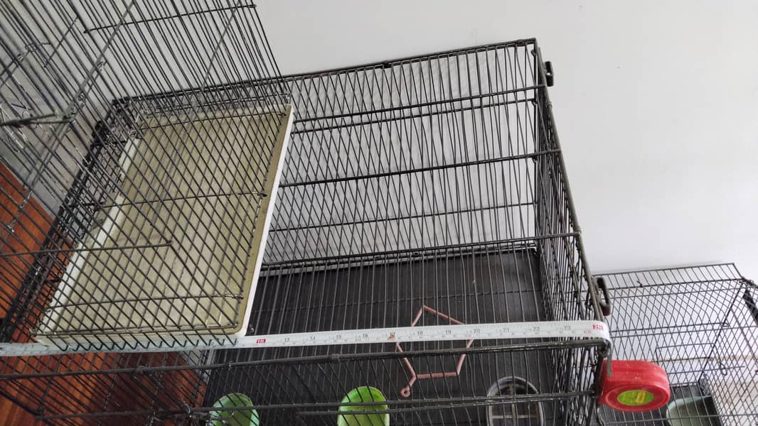 cages 13