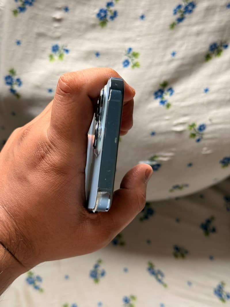 iPhone 13pro PTA Approved 2