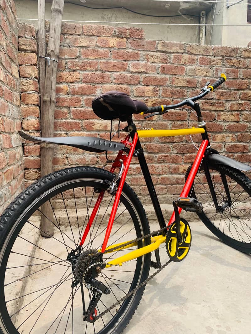Fhonex cycle 2