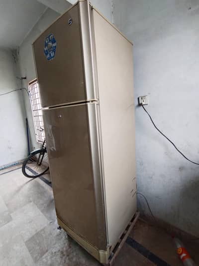 frij for sale