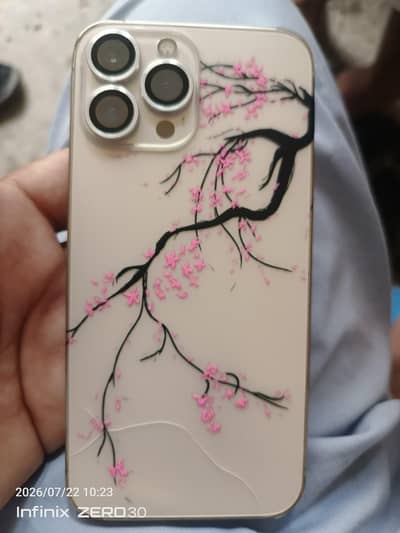 Apple iPhone 13 Pro Max (jv) factory lock