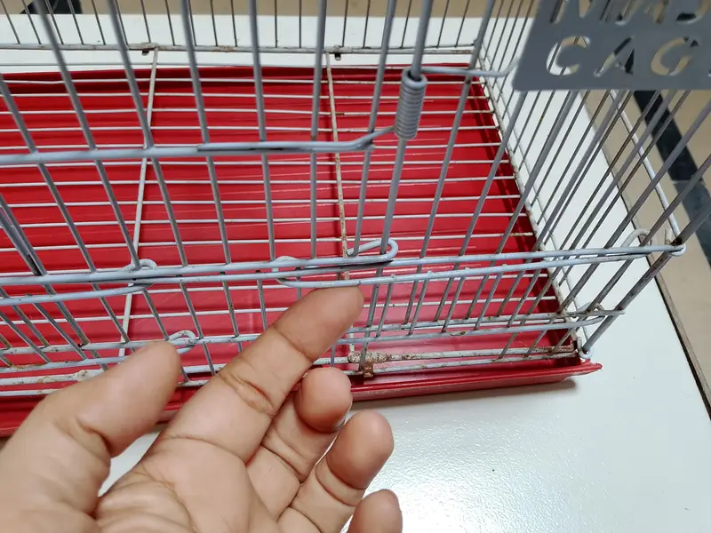 Hen chick cage — photo 4