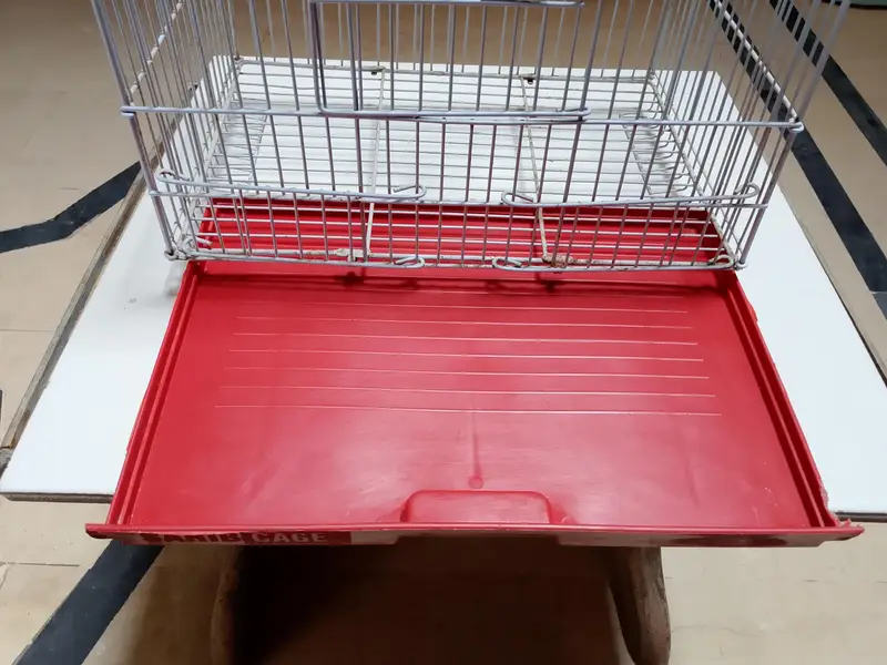 Hen chick cage — photo 5