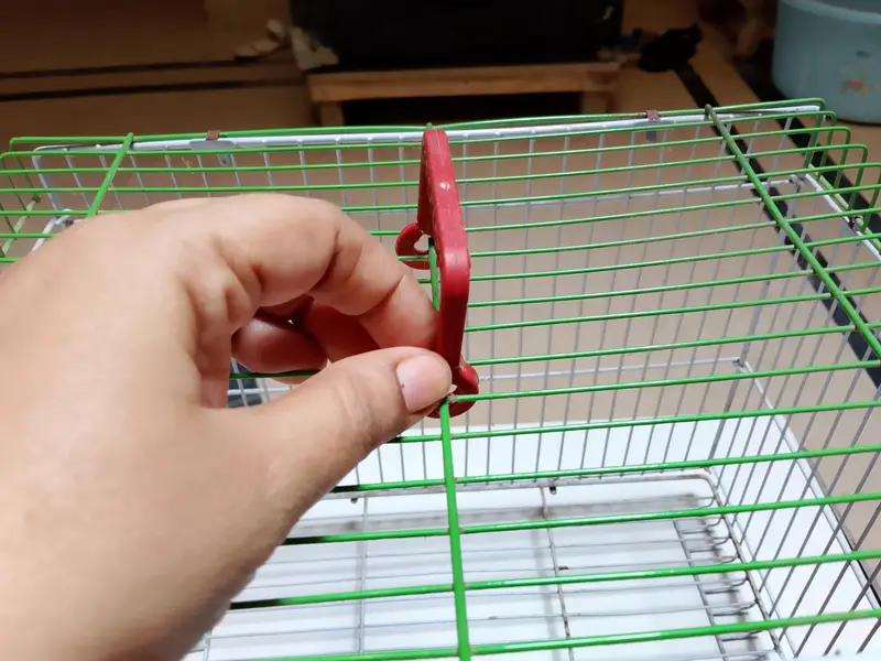 Hen chick cage — photo 6