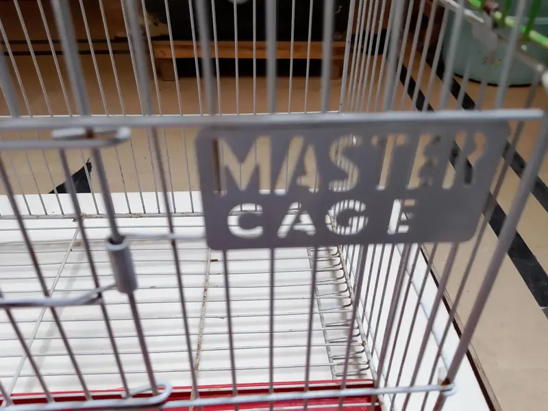 Hen chick cage — photo 7