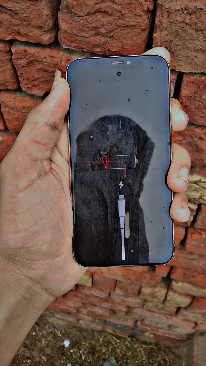Apple iPhone X 2