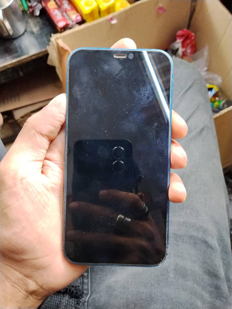 Apple iPhone 12 1