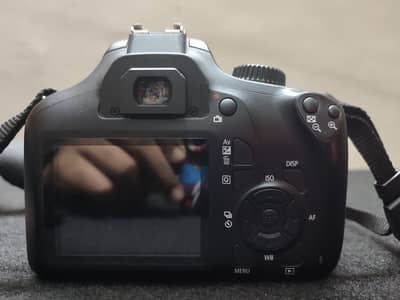 canon 4000D