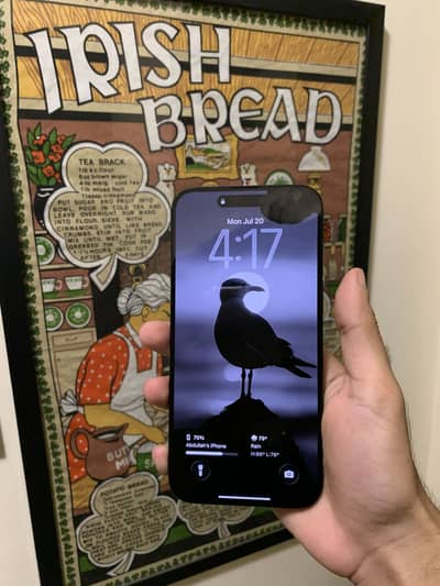Iphone 15 pro max 256gb jv