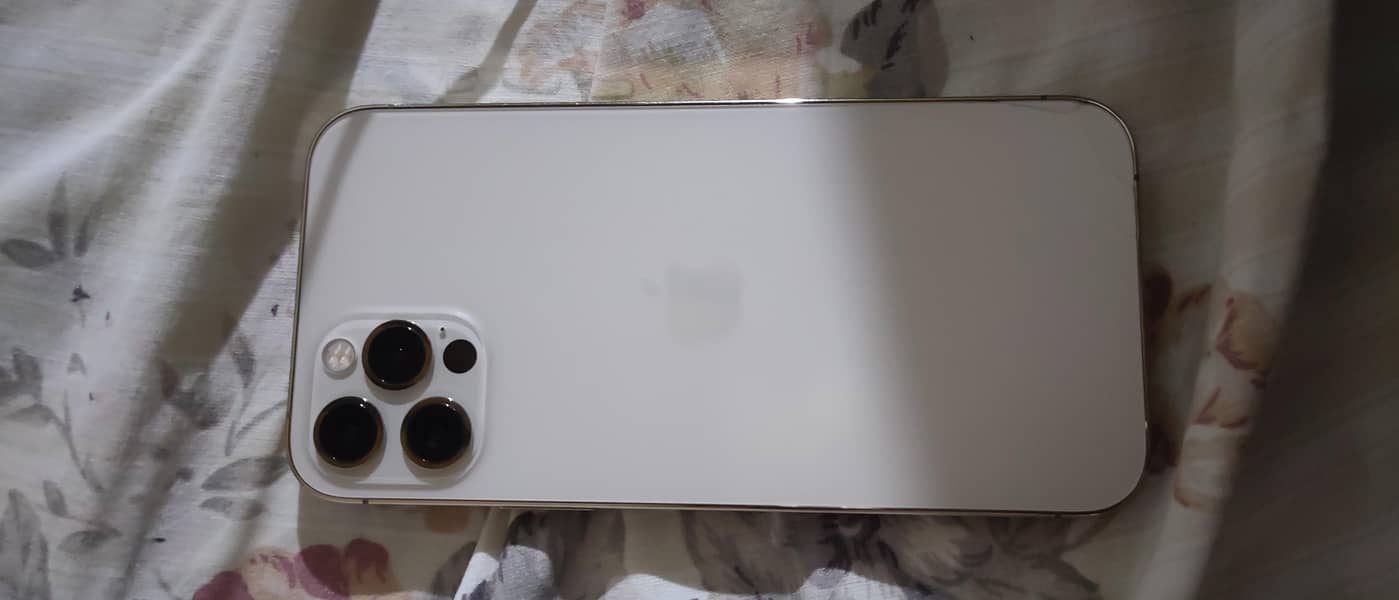 Apple iPhone 12 Pro 1