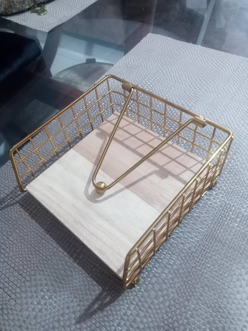 Tissue Holder 4