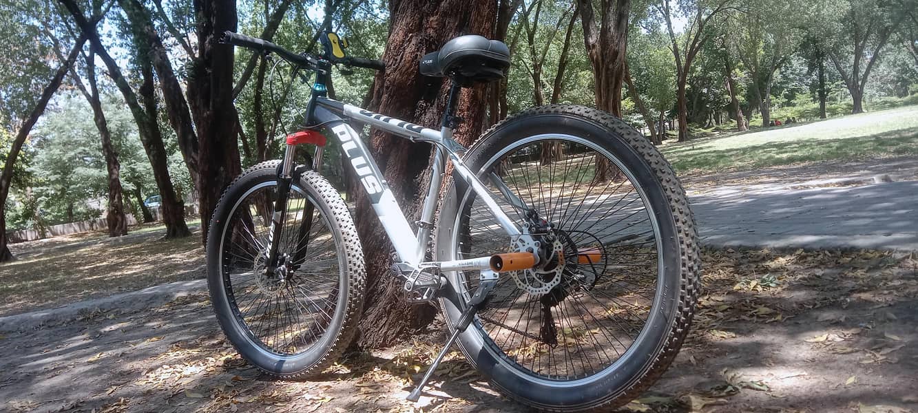 MTB  bicycle 2