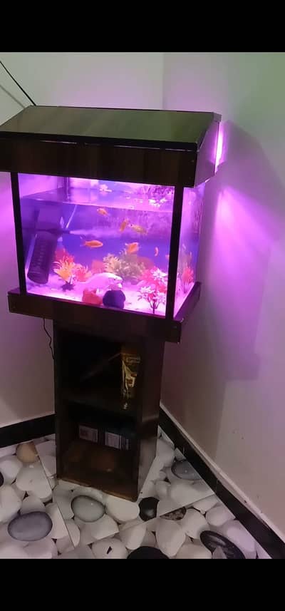 Aquarium Setup New