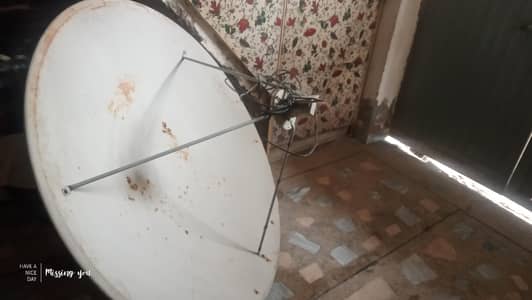 dish with all accessories