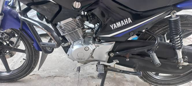 YBR 125