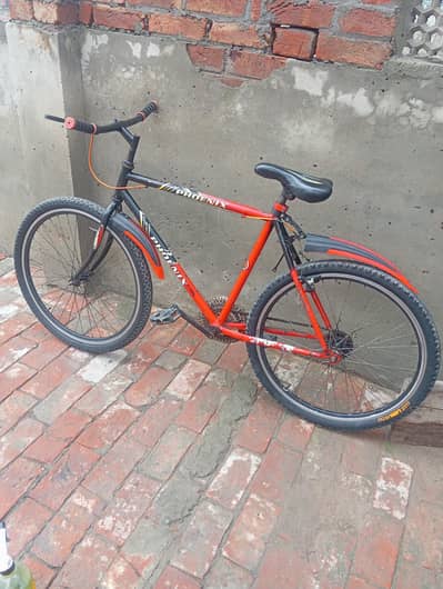 Phoenix Bicycle For sale