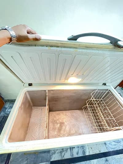 Deep Freezer  Jumbo Size 03248468747