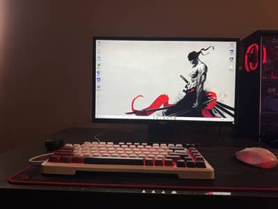 Dell 24” Full HD IPS Monitor | 1080p | Read Description Carefully |