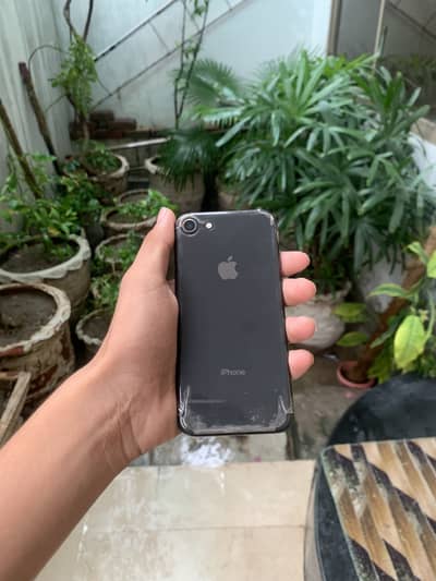 Apple iPhone 8