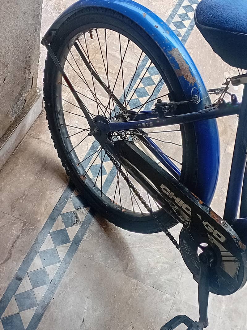 cycle 4