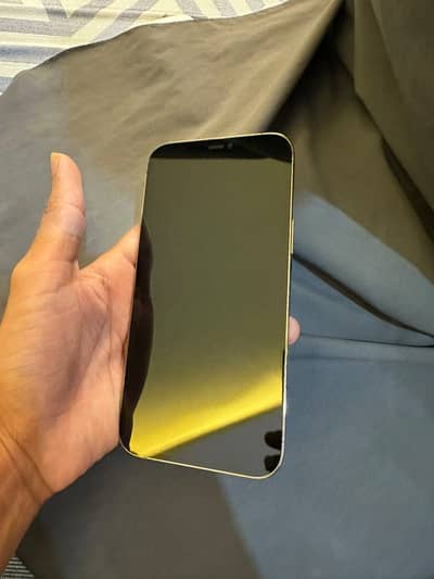 I phone 12 pro max