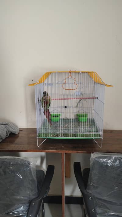master cage