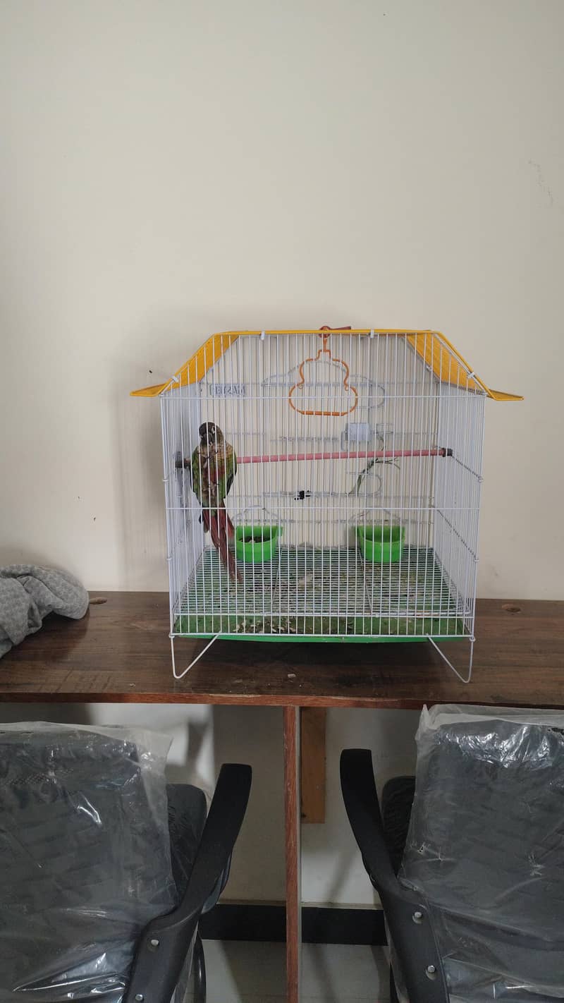 master cage 0