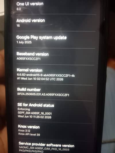 Samsung Mobile A06
