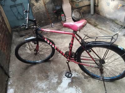 big phonex bicycle